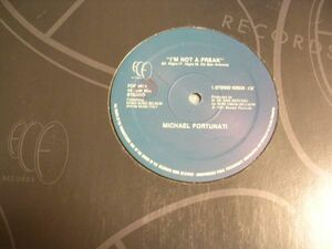 ●HOUSE EURO 12”●MICHAEL FORTUNATI/I'M NOT A FREAK