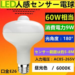 LEDひとセンサー電球E26　人感センサー付　60W相当 昼光色(0)