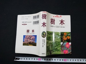 Y□　書籍　FIELD PHOTOGRAPH　樹木　片桐啓子・文/金田洋一郎・写真　1995年発行　西東社　/Y-A05