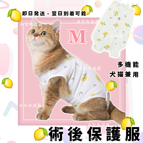 【レモン柄M】猫犬 術後服 離乳避妊手術 皮膚保護雌 エリザベスカラー ウェア