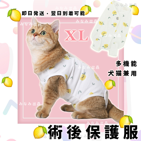 【レモン柄XL】猫犬 術後服 離乳避妊手術 皮膚保護雌 エリザベスカラー ウェア