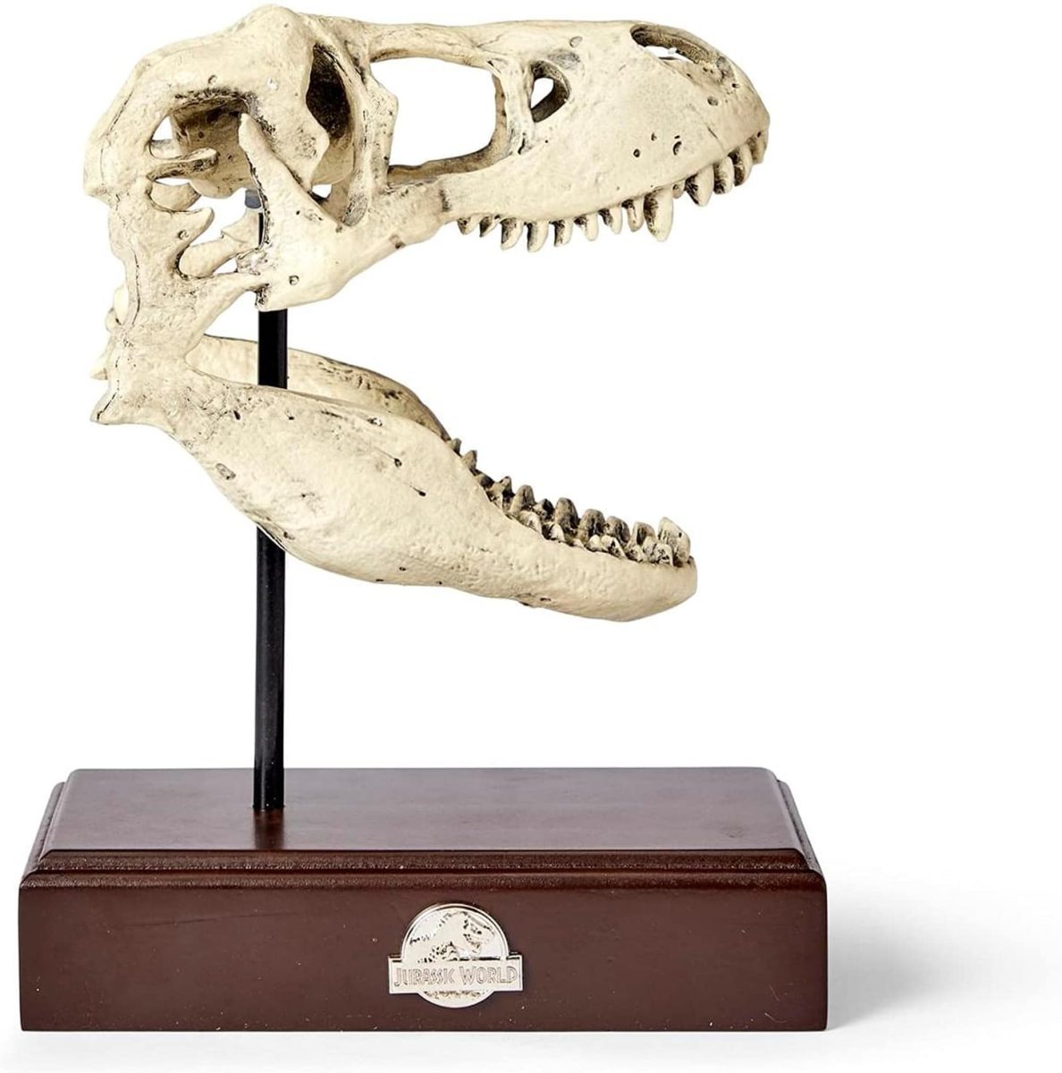 ヤフオク! -ティラノサウルス 化石(彫刻、オブジェ)の中古品・新品・未 