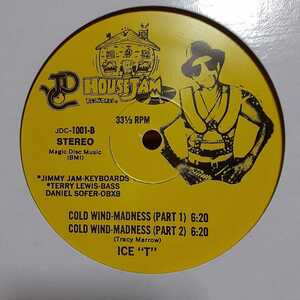 ICE-T / THE COLDEST RAP / COLD WIND MADNESS /エレクトロ/ELECTRO/電子音楽/DANIEL SOFER/JIMMY JAM & TERRY LEWIS/KZA/スマーフ男組 