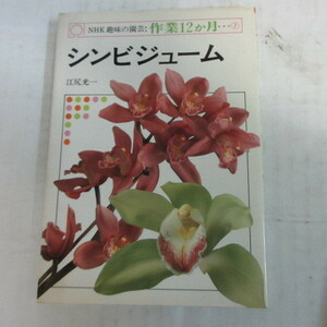 ●▲NHK趣味の園芸作業12か月 7「シンビジューム」江尻光一●日本放送出版協会