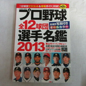 ■▲プロ野球全12球団選手名鑑2013●コスミック出版