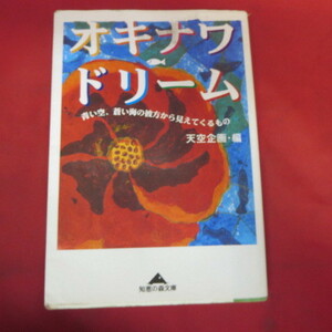 ●◆「オキナワドリーム　青い空、蒼い海の彼方から見えてくるもの」文庫本　天空企画編　知恵の森文庫