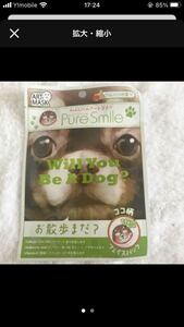 new goods dog pattern face mask pure Smile fruit. fragrance here pattern 