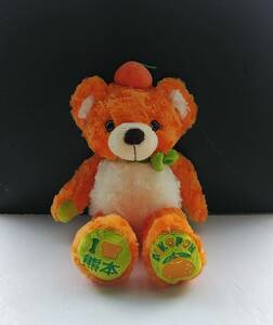 . present ground Bear Kumamoto soft toy Fujisey