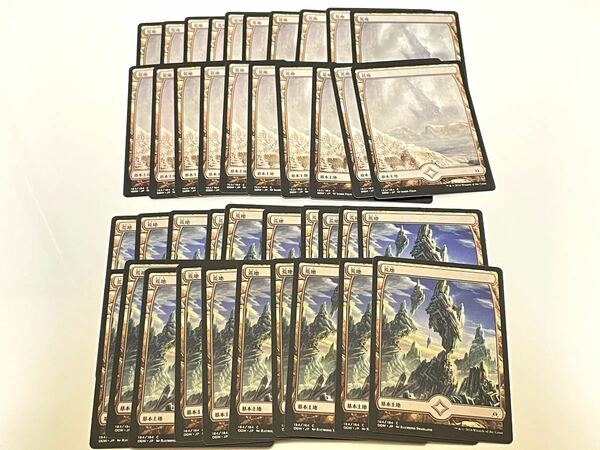 フルアート版　荒地/Wastes 日本語版　計40枚セット　MTG マジック　ザ　ギャザリング