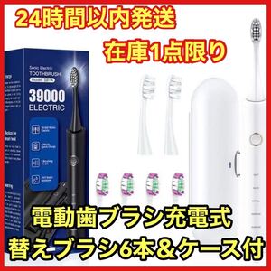 【在庫1点限り】送料無料スピード発送!替えブラシ&ケース付 電動歯ブラシ 超音波充電式 防水