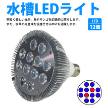 LED 電球 スポットライト 24W(2W×12)青10赤2 水槽 照明 E26 LEDスポットライト 電気 水草 サンゴ 熱帯魚 観賞魚 植物育成_画像2