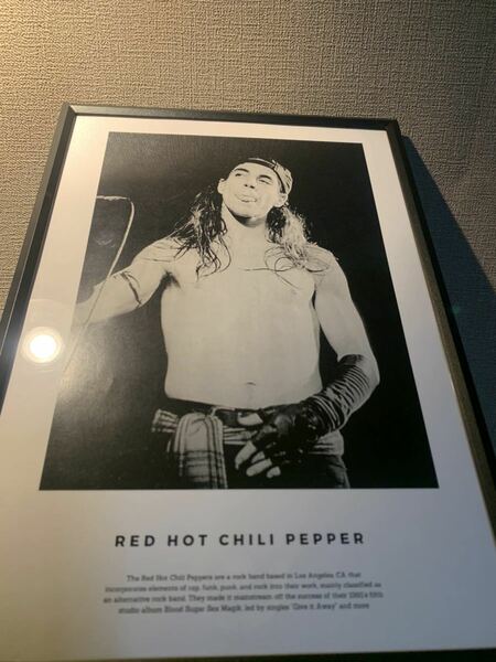 RED HOT CHILI PEPPERS レッチリ B5 ポスター 額付き送料込み ④