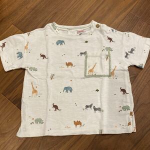 ZARA Kids short sleeves T-shirt 90cm 100cm child clothes 