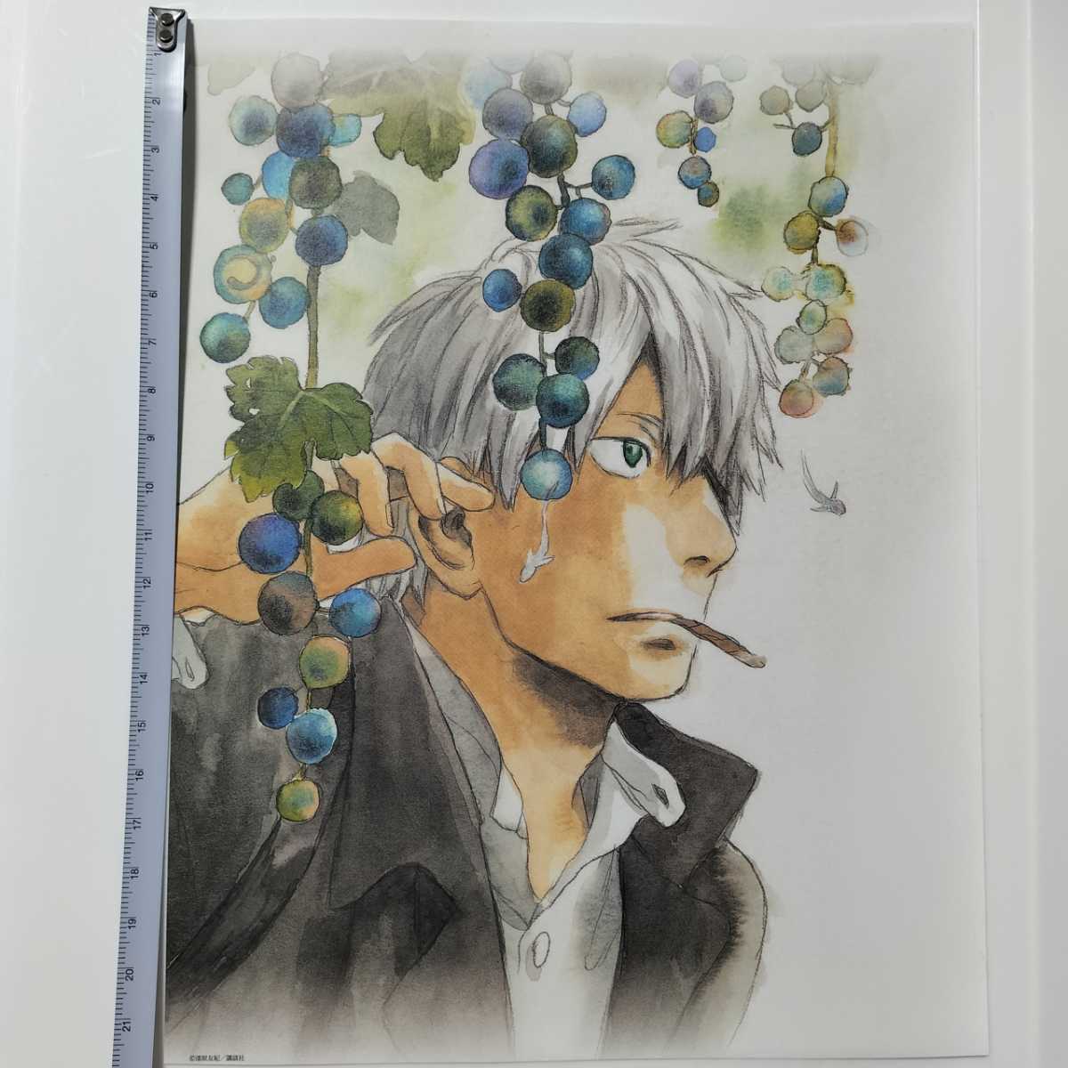 ヤフオク! -蟲師 ギンコの中古品・新品・未使用品一覧 ヤフオク! -蟲師 ギンコの中古品・新品・未使用品一覧