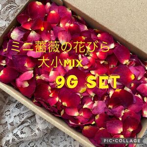 大容量!大特価!★ミニ薔薇の花びら(大小mix)9gセット★ミニバラドライフラワー花材★ハンドメイド素材★結婚式フラワーシャワーに