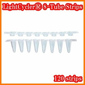 ●新品/LightCyclerR 8-Tube Strips (clear)/06327672001/120個入り/8連PCRチューブ/Rocheロシュ/実験研究ラボグッズ1●