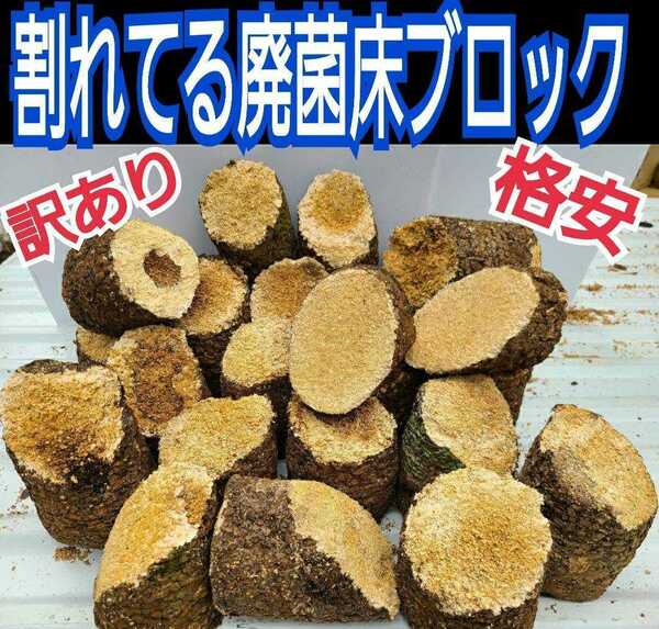 送料無料！訳あり特価！割れてる！椎茸廃菌床6ブロック分☆カブト幼虫の栄養強化に！発酵マットに埋め込むとモリモリ食べる！クヌギ100％