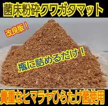 活性菌糸粉砕クワガタマット【80L】幼虫が大きくなる！瓶やプリンカップに詰めるだけ！菌糸瓶より経済的です！オオクワ、ヒラタ、虹色に！_画像3