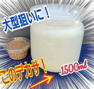 特大菌糸ボトル1500m☆ヒマラヤひらたけの初菌のみで作成！特殊アミノ酸強化配合！国産オオクワガタ85mm羽化実績！ヒラタ、ギラファにも！