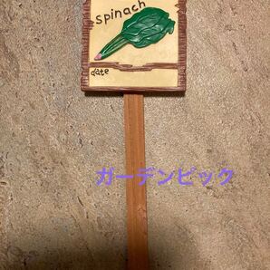 家庭菜園 ガーデンピック ほうれん草