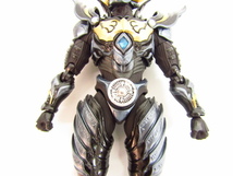 S.H.Figuarts 黄金騎士 ガロ(流牙Ver.)「牙狼-GARO- ～闇を照らす者～」 魂ウェブ商店限定★TY11111_画像8