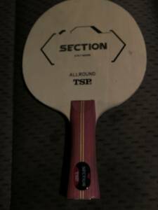 TSP selection ping-pong racket used