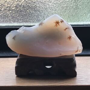 ゴビ石−872 ゴビ瑪瑙 原石 デンドリティックアゲート 鑑賞石