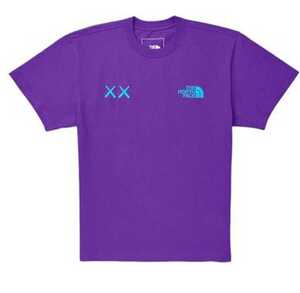 THE NORTH FACE kaws tee 半袖Tシャツ カウズ Tee ノースフェイスTシャツ ザノースフェイス コラボ限定 The North Face