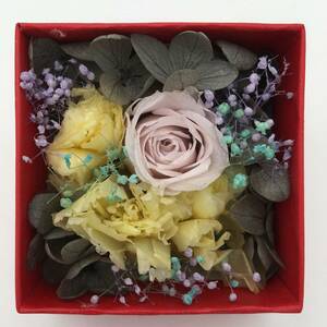< new goods > preserved flower box arrange hand made carnation rose rose hydrangea interior .. celebration gift 