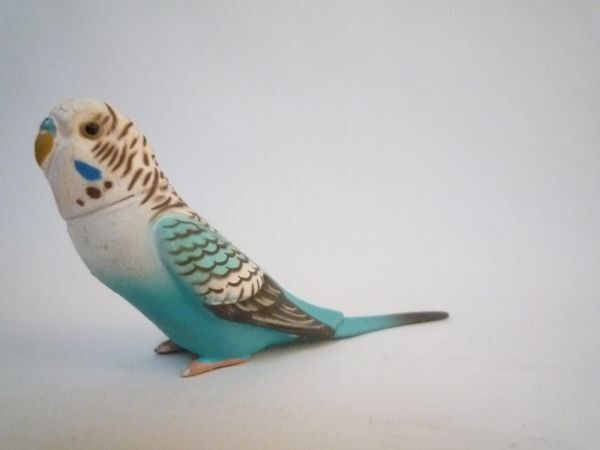 チョコエッグ フィギュア 鳥 セキセイ インコ ブルー