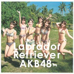 AKB48 / ラブラドール・レトリバー (Type-K 初回限定盤 DVD付)　CD