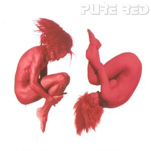  Fujii Fumiya / PURE RED CD