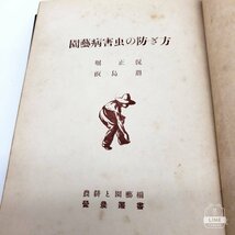 【B-51】 昭和26年 園藝病害虫の防ぎ方 堀正侃 飯島編集 小川誠一郎発行　70年前 株式会社誠文堂新光社 栄農叢書_画像4