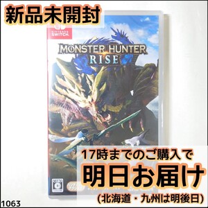 Switch モンスターハンターライズ