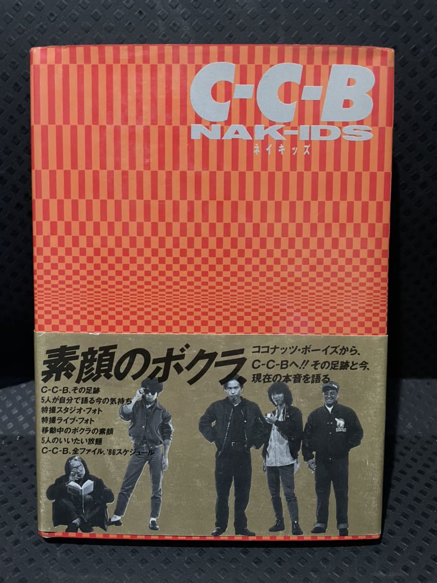 在庫処分 関口誠人 LIVE DVD 2枚セット ecousarecycling.com