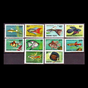 ■ハンガリー切手　1962年　熱帯魚 / 観賞魚　10種完