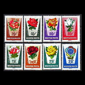 ■ハンガリー切手　1962年　花 / 薔薇 / バラ　8種完