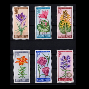 ■ハンガリー切手　1966年　花 / フラワー保護　6種完