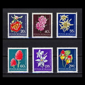 ■ルーマニア切手　1972年　花 / フラワー　6種完