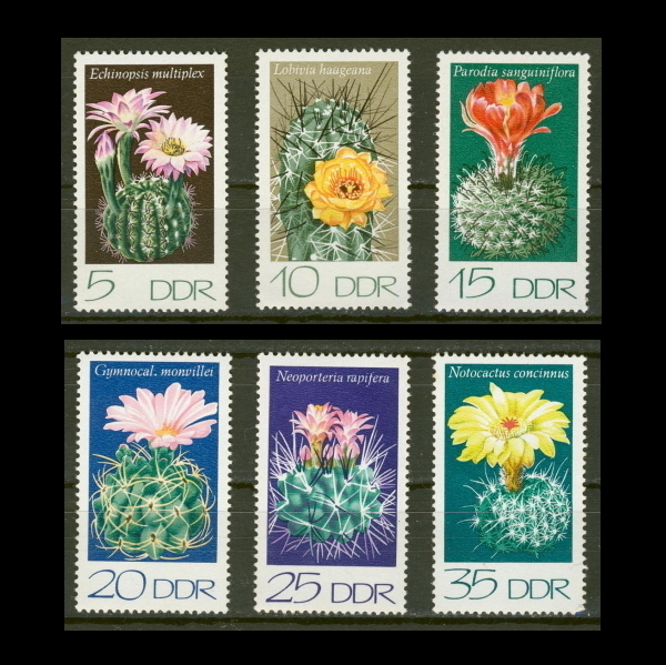 ヤフオク! -多肉植物(切手、はがき)の中古品・新品・未使用品一覧