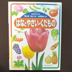 体験を広げるこどものずかん 4 はなとやさい・くだもの