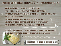 テンペ 100g 国産大豆 100％ 大豆発酵食品 てんぺ 後味が違う 夢石庵 むせきあん 410 税率8％_画像2