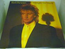 LPA8023 ロッド・スチュワート ROD STEWART / トゥナイト・アイム・ユアーズ TONIGHT I'M YOURS / 国内盤LP 盤良好_画像1