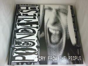 EPA2571 POUNDAFLESH / CRY FROM THE PEOPLE / 7インチシングルEP 盤良好