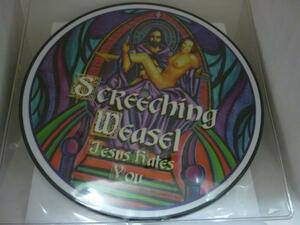 EPA312 Screeching weasel/Jesus hates you/7インチピクチャー