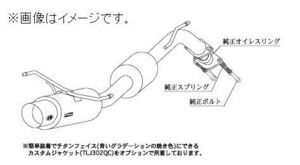 自動車関連業者直送限定 柿本 マフラー hyper GT box Rev. TOYOTA トヨタ エスティマ GH,TA-MCR30W 1MZ-FE 2WD (T41390)