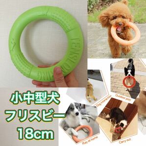 犬のおもちゃ　小中型犬用フリスビーグリーン色