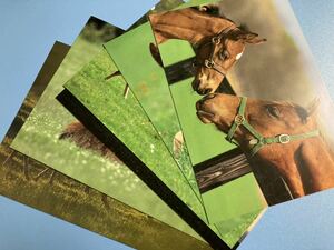  лошадь открытка 6 листов 