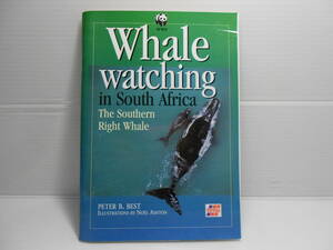 Whale watching in South Africa　南アフリカ　ホエールウォッチング　基本ガイド　鯨　クジラ　博物誌　捕鯨史　保護　歴史
