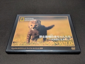 セル版 ナショナル ジオグラフィック プレミアムセレクション DVD / 野生動物の赤ちゃんたち 大自然に生まれて / ch317